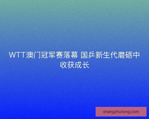 WTT澳门冠军赛落幕 国乒新生代磨砺中收获成长 WTT澳门冠军赛落幕 国乒新生代磨砺中收获成长